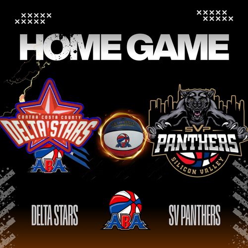 Silicon Valley Panthers vs Delta Stars poster